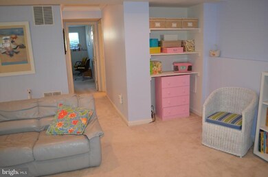 43491 Mink Meadows St, Chantilly, VA 20152 - photo 5