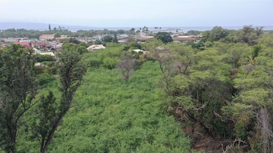 120 and 135 Manako Ln unit Lots 7 and 8, Kaunakakai, HI 96748 - photo 6