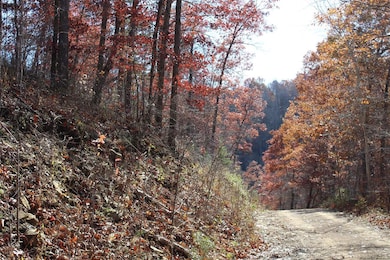 0 Deadend Trail, Garrison, KY 41141 - photo 2