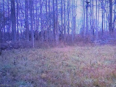 2242 Ohio 46, Jefferson, OH 44047 - photo 2