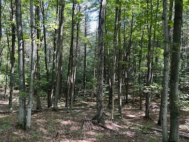 5383 N Conway Rd, Alanson, MI 49706 - photo 7