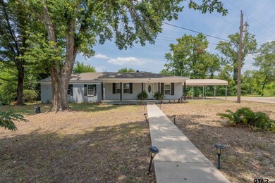 3925 Old Noonday Rd, Tyler, TX 75701 - photo 2