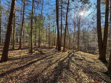Woods and Trails and Fire Pit