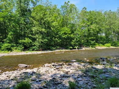 0 Off Indian Ridge Ext Rd, Athens, NY 12015 - photo 4