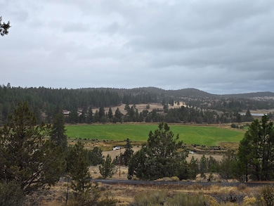 88840 Dog Lake Ln, Lakeview, OR 97630 - photo 5