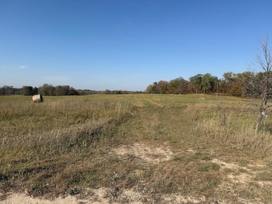 TBD 139 56ac 360th Ave, Frazee, MN 56544 - photo 3