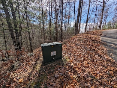 Lot 83 Garnet Rd, Sylva, NC 28779 - photo 5