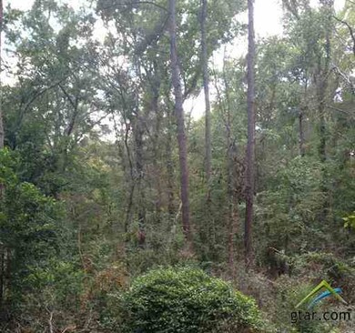 5814 Brixworth Dr, Tyler, TX 75703 - photo 7