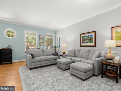 10234 Brighton Ridge Way, Columbia, MD 21044 - photo 4