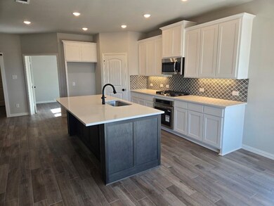 545 Pickett Creek Dr, Hudson Oaks, TX 76087 - photo 7