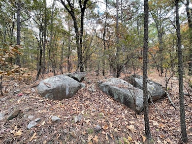 Unit 156 Rd, Moyers, OK 74523 - photo 2