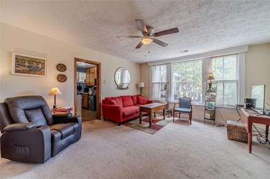 284 Covington St, Loganville, GA 30052 - photo 4