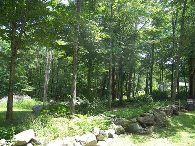 00 Bailey Rd unit 66B, Chichester, NH 03258 - photo 2