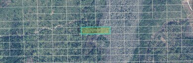 0 Dill Rd unit MFRO6234589, Orlando, FL 32820 - photo 2