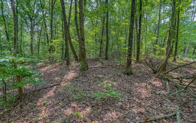 0 Wendy Hill Rd unit 327392, Ellijay, GA 30536 - photo 5