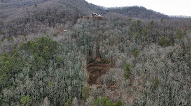 1182 Tunnel Mountain Rd, Sylva, NC 28779 - photo 3