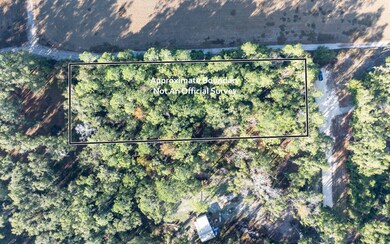 LT 16 280th Terrace, Branford, FL 32008 - photo 7