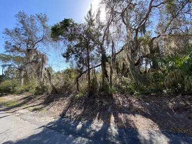 Lot 12 Susan St, Cedar Key, FL 32625 - photo 2