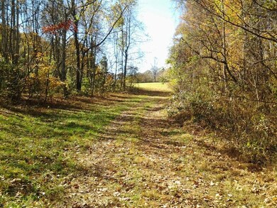 0 Volunteer Rd unit 867350, Rutledge, TN 37861 - photo 6