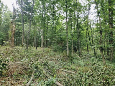 0 Little Pond Dr unit 25023106, Mountain View, AR 72560 - photo 7