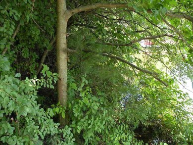 0 Tammy Trail unit 201924298, Coxsackie, NY 12051 - photo 2