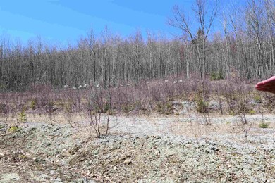 0 Miller Rd unit 20 4804431, Dalton, NH 03598 - photo 5