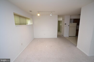 8001 Greenspring Way unit A, Owings Mills, MD 21117 - photo 4