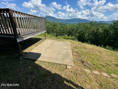 1015 Kizzy Patch Way, Del Rio, TN 37727 - photo 4