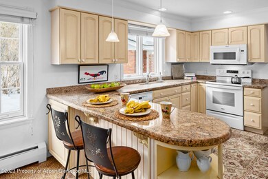 875 Bonita Dr, Aspen, CO 81611 - photo 5