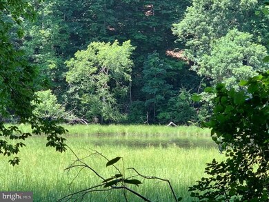 0 Skyview Dr unit MDSM160932, Hollywood, MD 20636 - photo 4