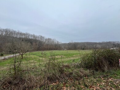 000 Walnut Grove Rd, Waynesboro, TN 38485 - photo 5