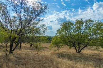 Tract 4 County Road 4460, Decatur, TX 76234 - photo 5