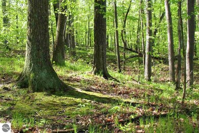 0 Canton Trail, Ogemaw Township, MI 48661 - photo 5