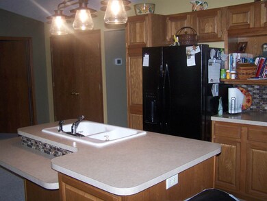 Double Sink, Open to Dining Area and Family Room