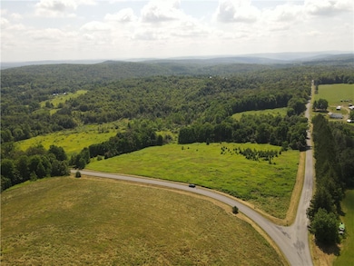 0 Ramey Rd, New Lisbon, NY 13411 - photo 6