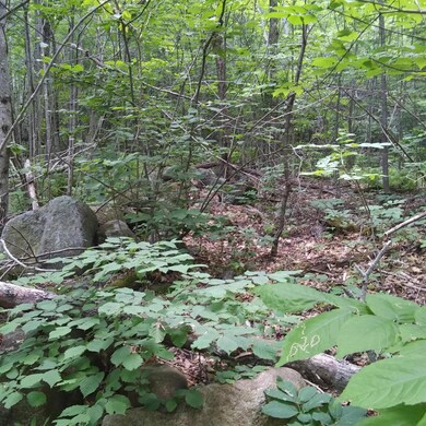 land4