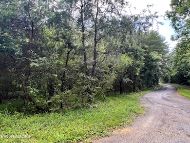 0 Wiley Prigmore Ln, Decatur, TN 37322 - photo 2