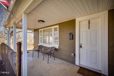 1614 E Myrtle Ave, Johnson City, TN 37601 - photo 4