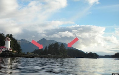 0 Legal Address Only unit Iffish Island 25307, Sitka, AK 99835 - photo 4