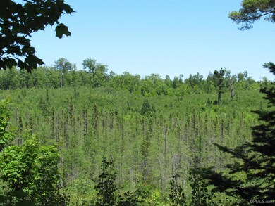 TBD County Fl Rd, Champion, MI 49814 - photo 5