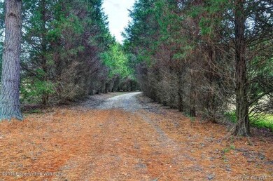 4 Deere Cir, Williamsburg, VA 23188 - photo 3