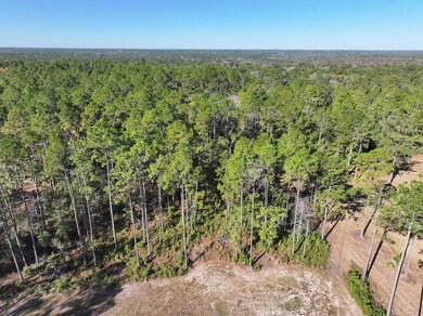 8311 N Coffee Rd, Hahira, GA - photo 6