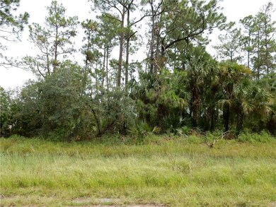 Another view of parcel on Hampshire Ct.