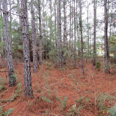 7535 Lillie Ln, Pensacola, FL 32526 - photo 4