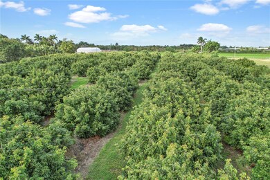 BUTTERBALLS....PRODUCING FROM ALL SIDES..