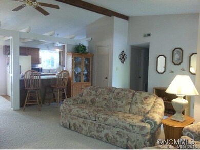 106 Scottlynn Ct, Asheville, NC 28806 - photo 3