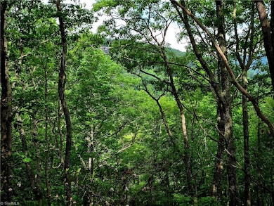 TBD Red Fox Trail, Boone, NC 28607 - photo 4