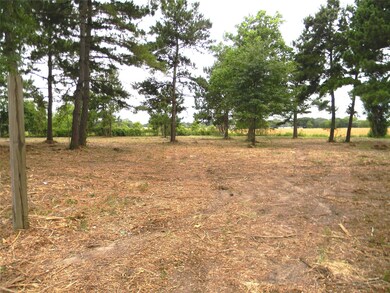 19827 Kimball Ln, Hockley, TX 77447 - photo 3