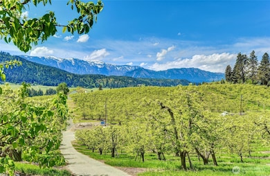 855 X Larson Rd, Peshastin, WA 98847 - photo 4