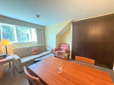 341/43 Qtr.4,89 Grand Summit Way, Dover, VT 05356 - photo 4